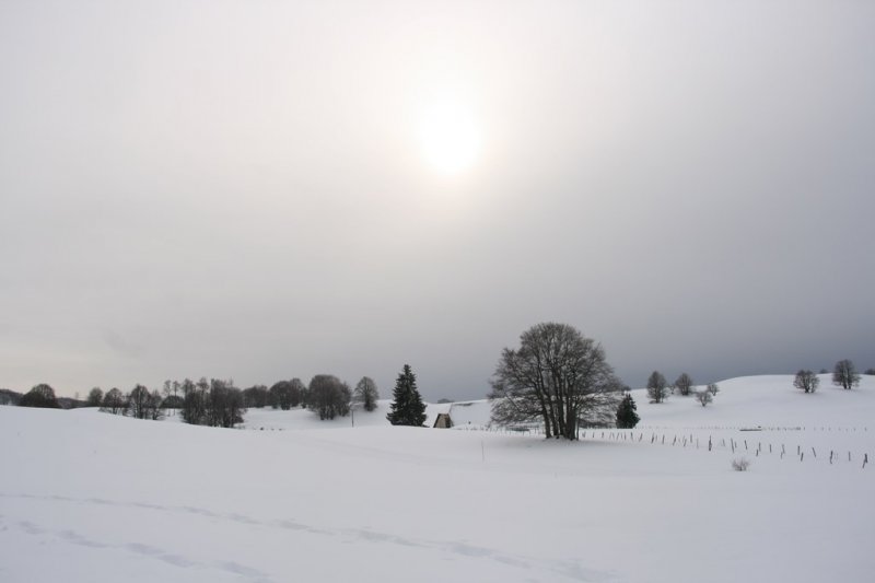 sortie neige à Cuvery le 26 janvier 2014